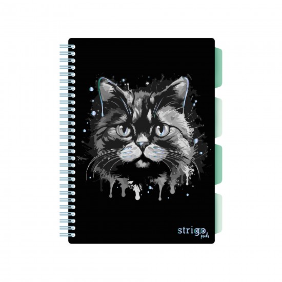 Caiet cu spirala si separatoare, STRIGO PADS Project Book PISICA, B5, Matematica, PADS023 Caiet cu spirala si separatoare, STRIGO PADS Project Book PISICA, B5, Matematica, PADS023