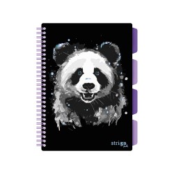 Caiet cu spirala si separatoare, STRIGO PADS Project Book PANDA, B5, Matematica, PADS025 Caiet cu spirala si separatoare, STRIGO PADS Project Book PANDA, B5, Matematica, PADS025