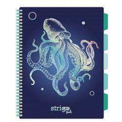 Caiet cu spirala si separatoare, STRIGO PADS Project Book CARACATITA, A4, Matematica, PADS048 Caiet cu spirala si separatoare, STRIGO PADS Project Book CARACATITA, A4, Matematica, PADS048