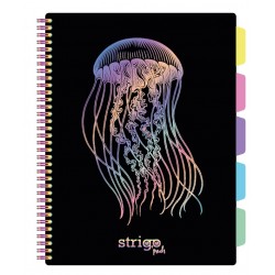 Caiet cu spirala si separatoare, STRIGO PADS Project Book MEDUZA,  A4, Matematica, PADS049 Caiet cu spirala si separatoare, STRIGO PADS Project Book MEDUZA,  A4, Matematica, PADS049