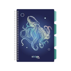 Caiet cu spirala si separatoare, STRIGO PADS Project Book CARACATITA, B5, Matematica, PADS051 Caiet cu spirala si separatoare, STRIGO PADS Project Book CARACATITA, B5, Matematica, PADS051