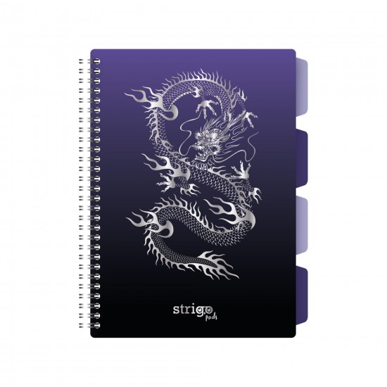Caiet cu spirala si separatoare, STRIGO PADS Project Book DRAGON, B5, Matematica, PADS053