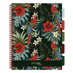 Caiet cu spirala si separatoare, STRIGO PADS Project Book TROPICAL, A4, Matematica, PADS060 Caiet cu spirala si separatoare, STRIGO PADS Project Book TROPICAL, A4, Matematica, PADS060