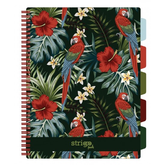 Caiet cu spirala si separatoare, STRIGO PADS Project Book TROPICAL, A4, Matematica, PADS060 Caiet cu spirala si separatoare, STRIGO PADS Project Book TROPICAL, A4, Matematica, PADS060