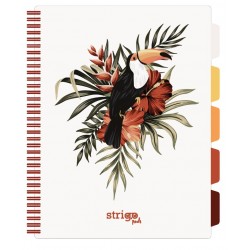 Caiet cu spirala si separatoare, STRIGO PADS Project Book TROPICAL, A4, Matematica, PADS061 Caiet cu spirala si separatoare, STRIGO PADS Project Book TROPICAL, A4, Matematica, PADS061