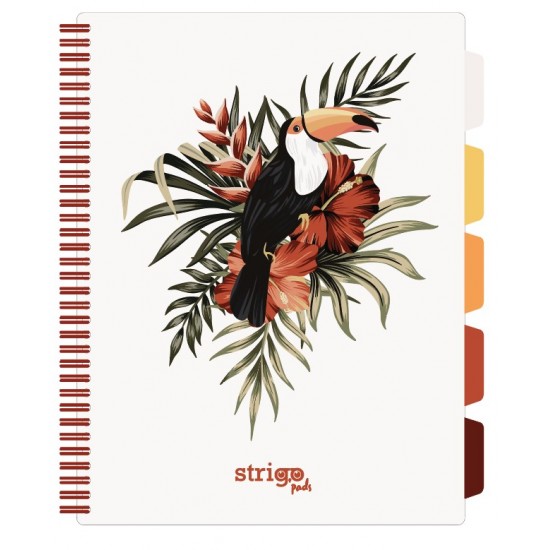 Caiet cu spirala si separatoare, STRIGO PADS Project Book TROPICAL, A4, Matematica, PADS061 Caiet cu spirala si separatoare, STRIGO PADS Project Book TROPICAL, A4, Matematica, PADS061