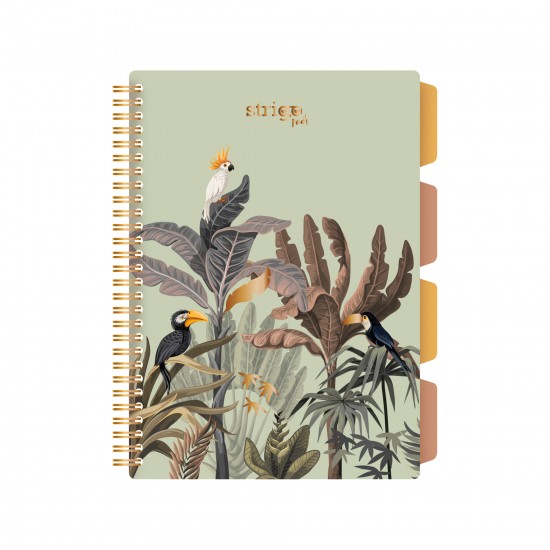 Caiet cu spirala si separatoare, STRIGO PADS Project Book Africa, B5, Matematica, PADS069 Caiet cu spirala si separatoare, STRIGO PADS Project Book Africa, B5, Matematica, PADS069