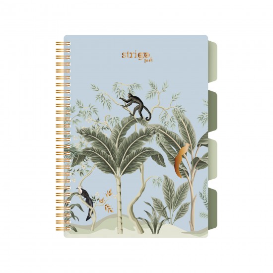 Caiet cu spirala si separatoare, STRIGO PADS Project Book Africa, B5, Matematica, PADS071