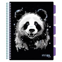 Caiet cu spirala si separatoare, STRIGO PADS Project Book PANDA, A4, Dictando, PADS093 Caiet cu spirala si separatoare, STRIGO PADS Project Book PANDA, A4, Dictando, PADS093