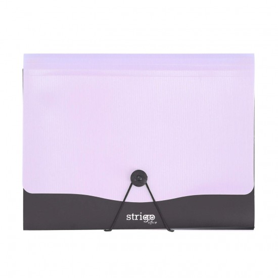 Mapa Strigo PP, A4, 13 compartimente, inchidere cu elastic, clips metalic, mov SF050