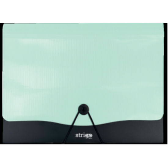 Mapa Strigo PP, A4, 13 compartimente, inchidere cu elastic, clips metalic, menta SF051 Mapa Strigo PP, A4, 13 compartimente, inchidere cu elastic, clips metalic, menta SF051