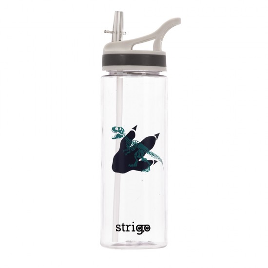 Bidon Strigo Dinosaur Colection, 600 ml SSC270