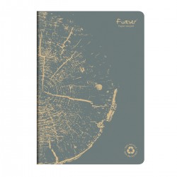 Caiet capsat A4 Forever Clairefontaine, 48 file, dictando hartie reciclata, gri Caiet capsat A4 Forever Clairefontaine, 48 file, dictando hartie reciclata, gri