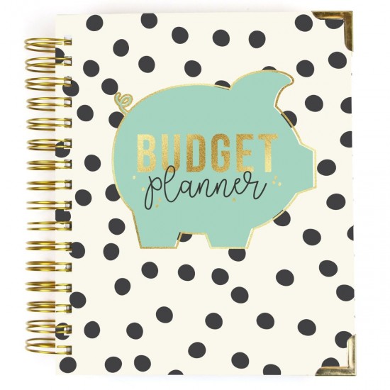 Budget planner Pukka Pads, 4 separatoare, calendar 12 luni nedatat, 183 stickere, pagini organizare