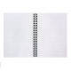 Caiet cu spirala Pukka Pads Metallic dictando B5, 200 pag, hartie 80 g, coperti cartonate Caiet cu spirala Pukka Pads Metallic dictando B5, 200 pag, hartie 80 g, coperti cartonate