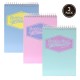 Caiet cu spirala Pukka Reporter Pad Pastel, 160 pag dictando, 14 x 20.5 cm, coperti cartonate MINT Caiet cu spirala Pukka Reporter Pad Pastel, 160 pag dictando, 14 x 20.5 cm, coperti cartonate MINT