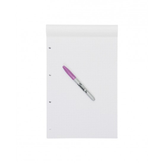 Rezerva Pukka Pads A4 matematica, 160 pag, cu 4 perforatii pentru bilblioraft Rezerva Pukka Pads A4 matematica, 160 pag, cu 4 perforatii pentru bilblioraft