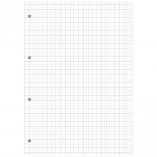 Rezerva Pukka Pads A4 matematica, 160 pag, cu 4 perforatii pentru bilblioraft Rezerva Pukka Pads A4 matematica, 160 pag, cu 4 perforatii pentru bilblioraft