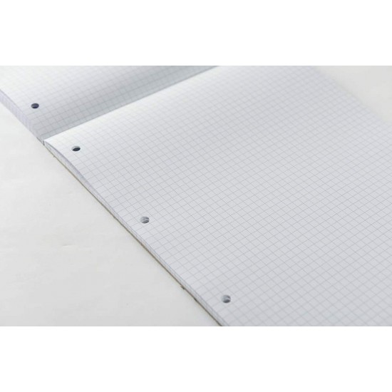 Rezerva Pukka Pads A4 matematica, 160 pag, cu 4 perforatii pentru bilblioraft Rezerva Pukka Pads A4 matematica, 160 pag, cu 4 perforatii pentru bilblioraft