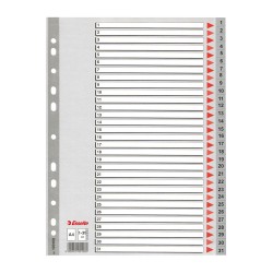 Index din plastic Esselte, A4, index 1-31