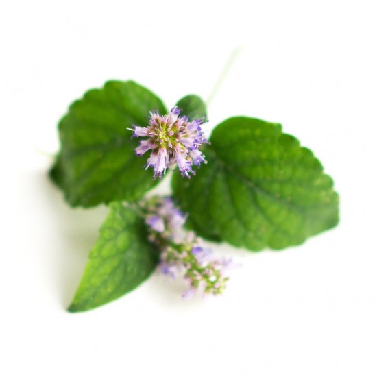 Lotiune de corp cu lime si patchouli Greenland 150 ml Lotiune de corp cu lime si patchouli Greenland 150 ml