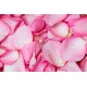 Sare de baie hidratanta Mallow Urban Rose Bomb Cosmetics 50 g Sare de baie hidratanta Mallow Urban Rose Bomb Cosmetics 50 g