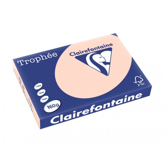 Carton color A3 Clairefontaine Pastel 160 g/mp-250 coli/top Carton color A3 Clairefontaine Pastel 160 g/mp-250 coli/top