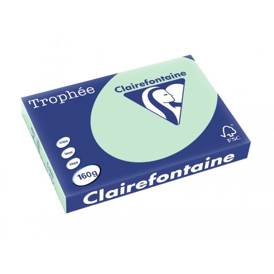 Carton color A3 Clairefontaine Pastel 160 g/mp-250 coli/top Carton color A3 Clairefontaine Pastel 160 g/mp-250 coli/top