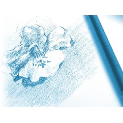 Hârtie desen A3, 10 coli, Clairefontaine Hârtie desen A3, 10 coli, Clairefontaine