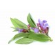 Masca ochi hidratanta antioxidanta efect compresa, cu elastina si hialuronic, 30ml - Anti-OX Wild Blueberry Masca ochi hidratanta antioxidanta efect compresa, cu elastina si hialuronic, 30ml - Anti-OX Wild Blueberry