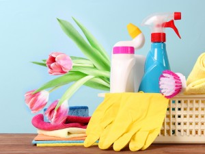 Curățenia de primăvară bate la ușă! Pregătește-te cu produse profesionale care să-ți facă munca mai ușoară!