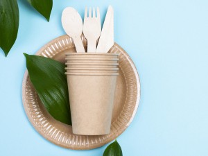 Tacâmuri și veselă de unică folosinţă pentru o igienă mai bună