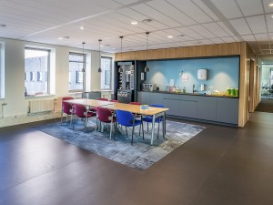 Covorașe profesionale igienice pentru curățenie și dezinfectare