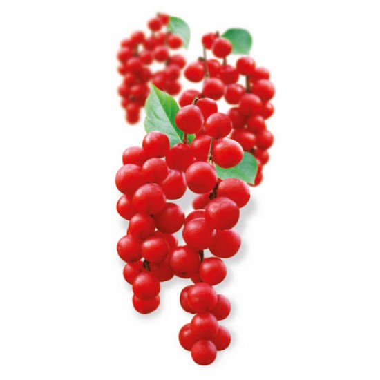 Pasta de dinti naturala pentru respiratie proaspata Siberian pearl, 100g - Natura Siberica Pasta de dinti naturala pentru respiratie proaspata Siberian pearl, 100g - Natura Siberica