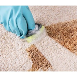 Sano Detergent spray igienizant pentru covoare si tapiterii, 600 ml Sano Detergent spray igienizant pentru covoare si tapiterii, 600 ml