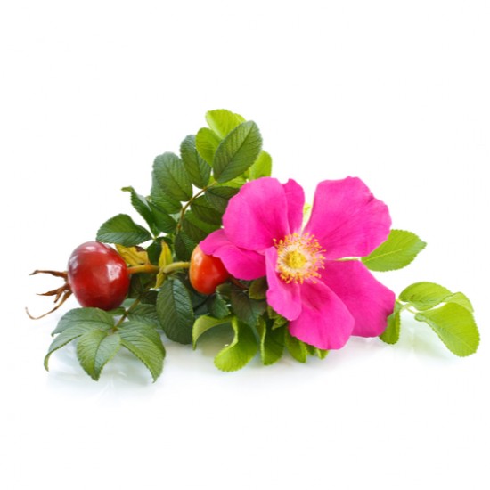 Pachet cadou cu trandafir-crema rejuvenanta de fata si crema de maini Herbal Care Pachet cadou cu trandafir-crema rejuvenanta de fata si crema de maini Herbal Care