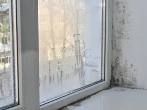 Igrasia: ce este, de ce apare și soluții eficiente pentru combatere