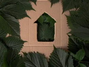 Ce înseamnă un hotel eco-friendly și ce soluții te ajută să îl implementezi?