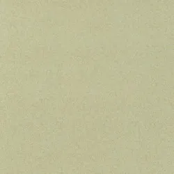 Covor pvc lentex PIONEER (2m)