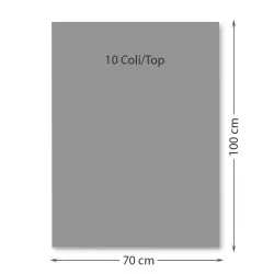 Carton color 70x100 cm, 220g/mp, Favini x 10coli-15 GRI Carton color 70x100 cm, 220g/mp, Favini x 10coli-15 GRI
