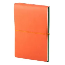 Notes Switch, piele, A5, liniat + matematica, verde/portocaliu