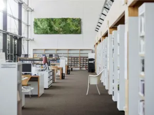 Covorașe de birou: care sunt cele mai potrivite pentru un design atractiv