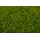 Gazon sintetic verde decorativ Mystique, înălțime fir 47 mm Gazon sintetic verde decorativ Mystique, înălțime fir 47 mm