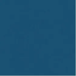 PVC sportiv Omnisports V120 albastru Night Blue