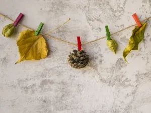 Curățenia de toamnă se face mai ușor ca niciodată!