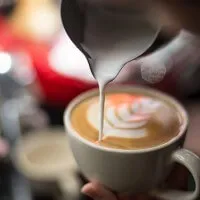 Restaurante, Baruri si Cafenele