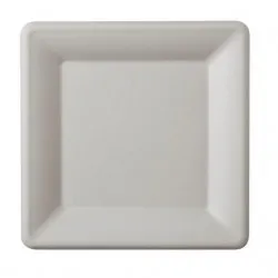 FARFURIE BIO PATRATA DIN TRESTIE DE ZAHAR 15 cm 50 buc/ set