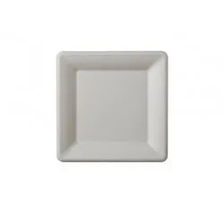 FARFURIE BIO PATRATA DIN TRESTIE DE ZAHAR 20 cm 50 buc/ set