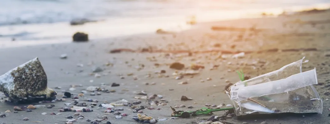 Masuri de protectie a mediului prin reciclare Masuri de protectie a mediului prin reciclare