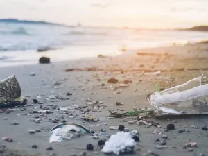 Importanta colectarii selective in eliminarea deseurilor din orasele mari